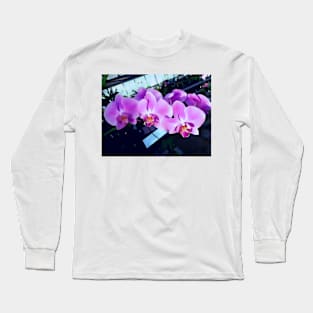 Gorgeous Orchids Long Sleeve T-Shirt